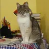 Отзыв от Ирина Зверева